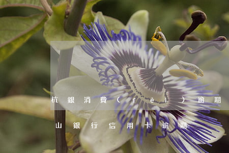 杭銀消費(fèi)逾期6個(gè)月（蕭山銀行信用卡逾期）
