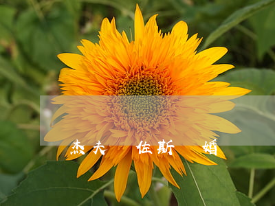 杰夫貝佐斯離婚