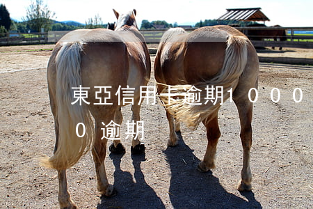 東亞信用卡逾期1000元(信用卡10000逾期)