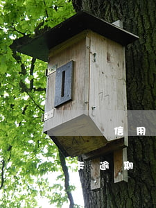 東亞信用卡逾期還款后能解封嗎-東亞信用卡逾期還款后能解封嗎安全嗎