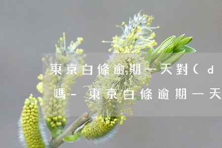東京白條逾期一天對(duì)征信影響大嗎-東京白條逾期一天對(duì)征信影響大嗎知乎