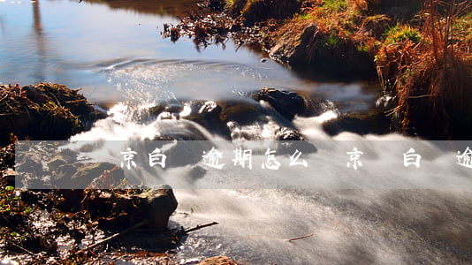 東京白條逾期怎么辦(京東白條逾期會上門嗎)