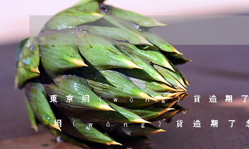 東京網(wǎng)貸逾期了怎么處理(東京網(wǎng)貸逾期了怎么處理)