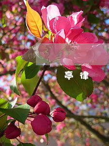 東亭律師事務所(山亭律師事務所)