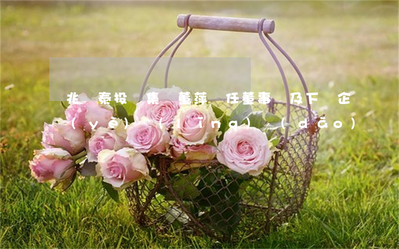 東兆長泰投資集團董萍：擔任董事長及下屬企業(yè)領(lǐng)導(dǎo)