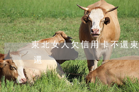 東北女人欠信用卡不還 東北女人欠信用卡不還
