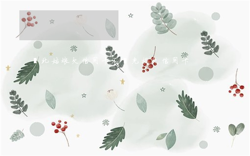 東北姑娘欠信用卡不還(光棍欠信用卡)