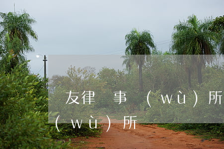 東友律師事務(wù)所排名(4大律師事務(wù)所)