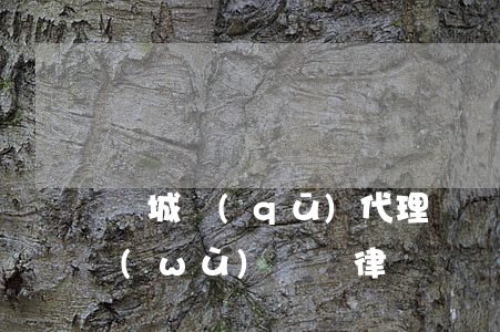 東城區(qū)代理債權(quán)債務(wù)糾紛律師團隊-東城區(qū)代理債權(quán)債務(wù)糾紛律師團隊電話