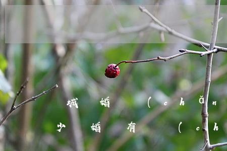 東城離婚財產(chǎn)問題律師費用多少(離婚沒有財產(chǎn)糾紛找個律師多少錢)