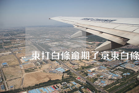 東打白條逾期了 京東白條逾期一天會怎么樣