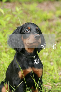 東方富海網(wǎng)絡科技有限公司逾期-東方富海網(wǎng)絡科技有限公司逾期了怎么辦