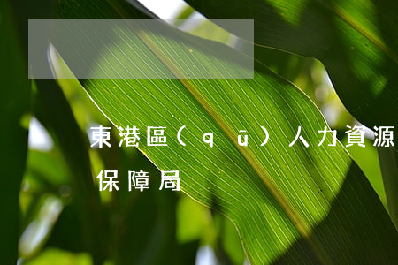 東港區(qū)人力資源和社會(huì)保障局