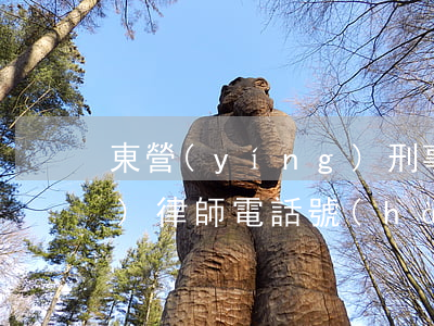 東營(yíng)刑事律師(東營(yíng)律師電話號(hào)碼查詢)