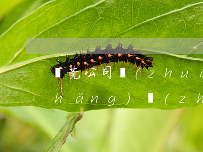 東莞公司轉(zhuǎn)讓(東莞工廠(chǎng)轉(zhuǎn)讓信息)