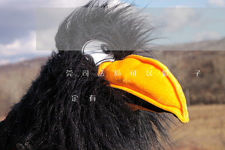 東莞司法局可以做親子鑒定嗎(東莞司法親子鑒定有)
