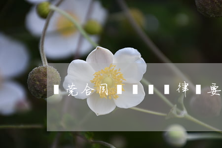 東莞合同糾紛訴訟律師要多少錢