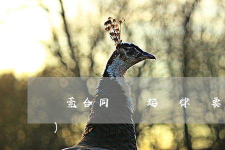 東莞合同糾紛起訴律師要多少錢(qián)