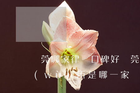 東莞哪家律師口碑好(東莞最有名的律師事務(wù)所是哪一家)