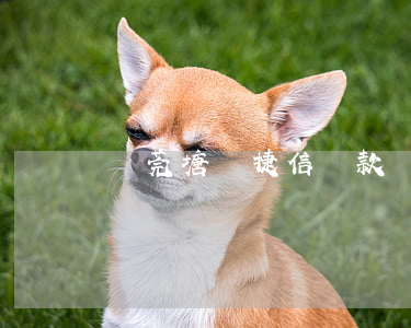 東莞塘廈捷信貸款(東莞塘廈捷信貸款)