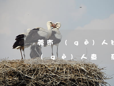 東莞市個(gè)人社保查詢(東莞市社保局個(gè)人查詢系統(tǒng))