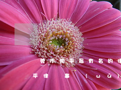 東莞市常平最有名的律師事務(wù)所(常平律師事務(wù)所法律咨詢)