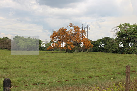 東莞市律師事務所(東莞市律師事務所東城)