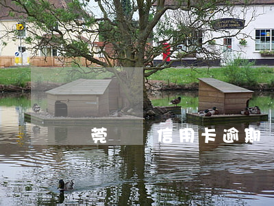 東莞張輝信用卡逾期