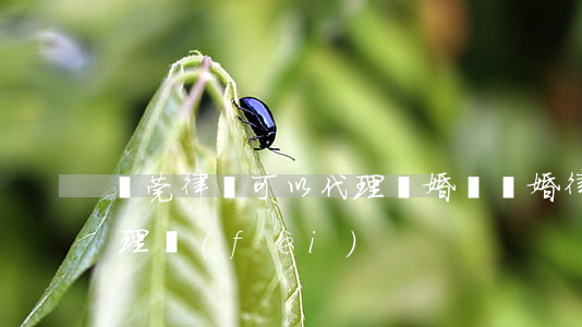 東莞律師可以代理離婚嗎(離婚律師多少錢代理費(fèi))
