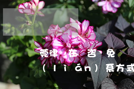 東莞律師在線咨詢免費熱線（東莞逾期貸律師聯(lián)系方式）