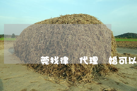 東莞找律師代理離婚可以嗎