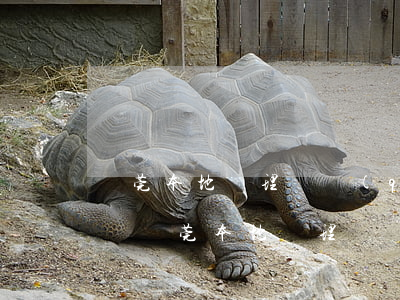 東莞本地處理債權(quán)債務律師團隊 東莞本地處理債權(quán)債務律師團隊