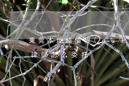 東莞本地請債權(quán)債務(wù)律師怎么委托