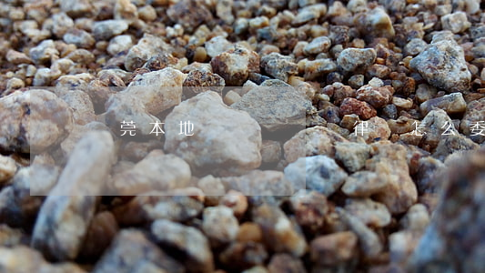 東莞本地請債權債務律師怎么委托