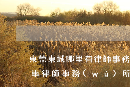 東莞東城哪里有律師事務(wù)所(東莞民事律師事務(wù)所咨詢)