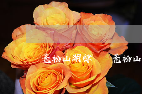 東莞松山湖律師(東莞松山湖律師位置)