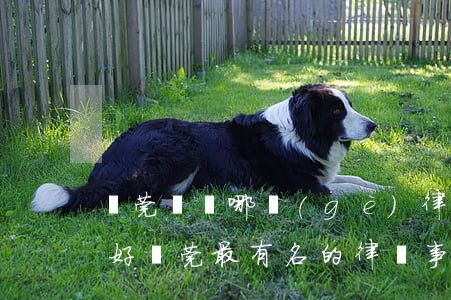 東莞橫瀝哪個(gè)律師事務(wù)所好(東莞最有名的律師事務(wù)所是哪一家)