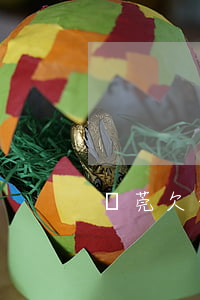 東莞欠信用卡十幾萬(欠信用卡十多萬怎么辦)