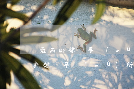 東莞石排律師事務(wù)所在哪里(東莞寮步律師事務(wù)所)