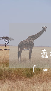 東莞社保網(wǎng)上查詢(東莞社保網(wǎng)上查詢密碼忘記了怎么辦)