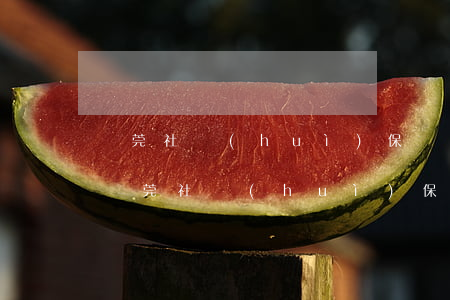 東莞社會(huì)保險(xiǎn)查詢(東莞社會(huì)保障網(wǎng)個(gè)人查詢)