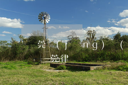 東莞經(jīng)濟(jì)糾紛律師(廣東東莞律師)