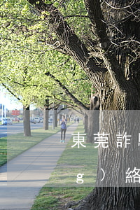東莞詐騙多少立案(東莞近日抓獲網(wǎng)絡(luò)詐騙)