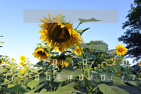 東莞請(qǐng)個(gè)律師要多少錢(東莞律師免費(fèi)咨詢)