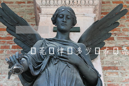 東莞請律師多少錢(在東莞請個律師要多少錢)