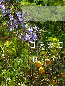 東莞起訴離婚律師費(fèi)用標(biāo)準(zhǔn)(東莞起訴離婚律師費(fèi)用標(biāo)準(zhǔn))