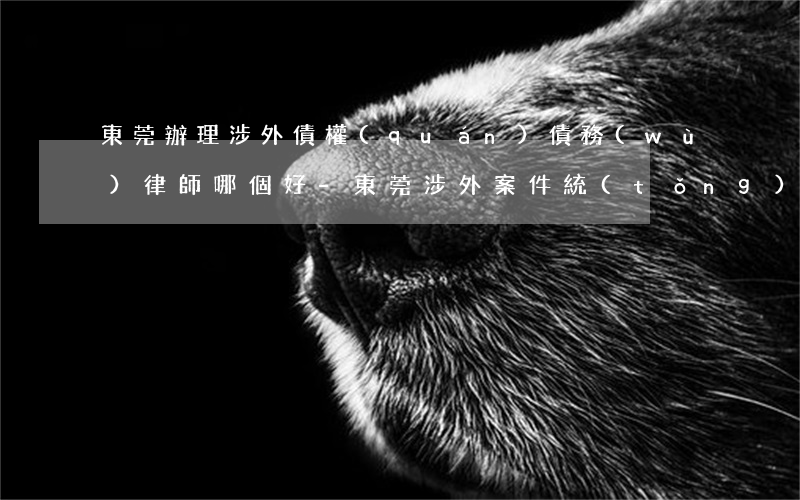 東莞辦理涉外債權(quán)債務(wù)律師哪個好-東莞涉外案件統(tǒng)一管理法院