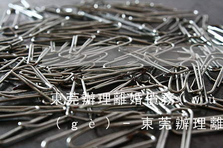 東莞辦理離婚債務(wù)糾紛律師選哪個(gè)-東莞辦理離婚債務(wù)糾紛律師選哪個(gè)機(jī)構(gòu)