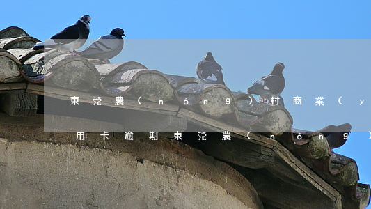 東莞農(nóng)村商業(yè)銀行信用卡逾期(東莞農(nóng)村商業(yè)銀行信用卡逾期怎么辦)
