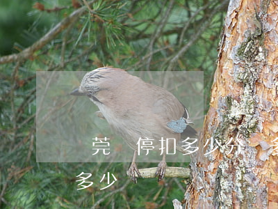 東莞違停扣多少分罰多少錢(東莞違章停車罰多少錢)